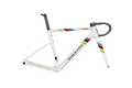 UCI World Champion Custom Color