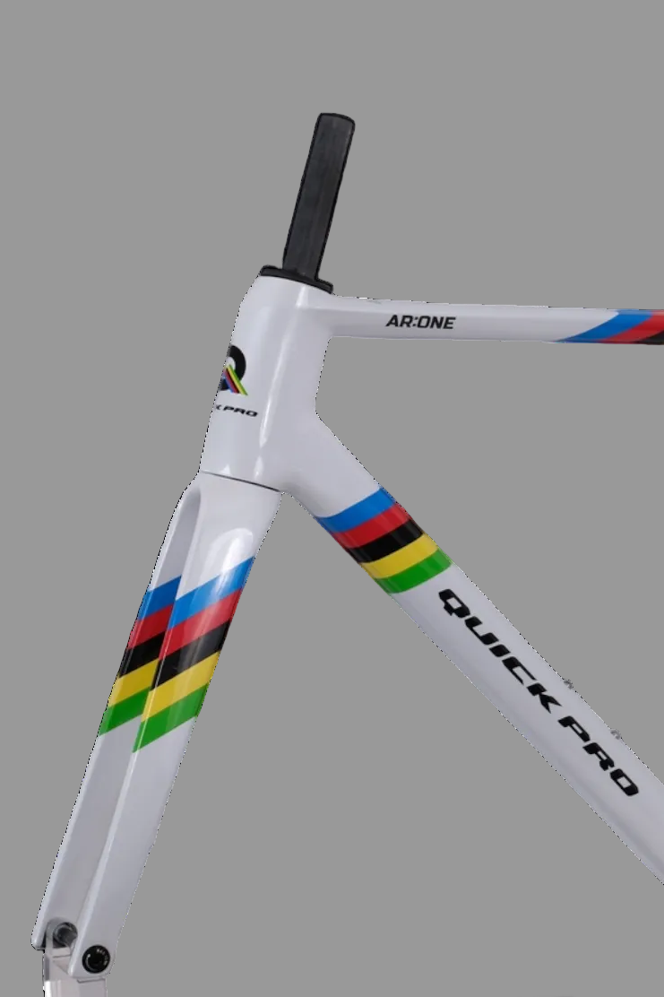 UCI World Champion Custom Color