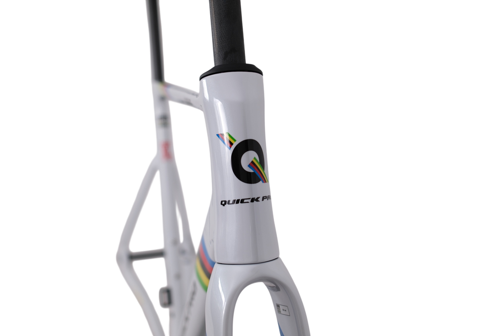 UCI World Champion Custom Color