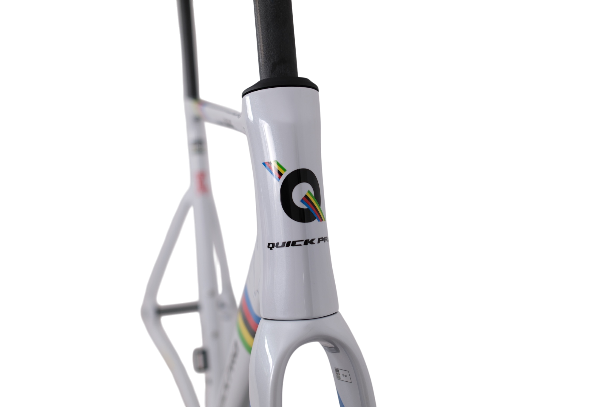 UCI World Champion Custom Color