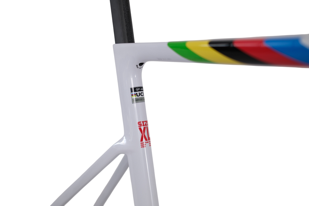 UCI World Champion Custom Color