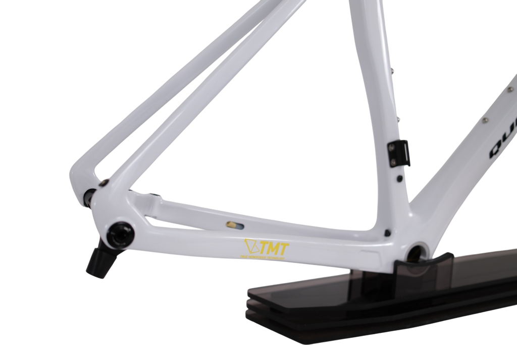 UCI World Champion Custom Color