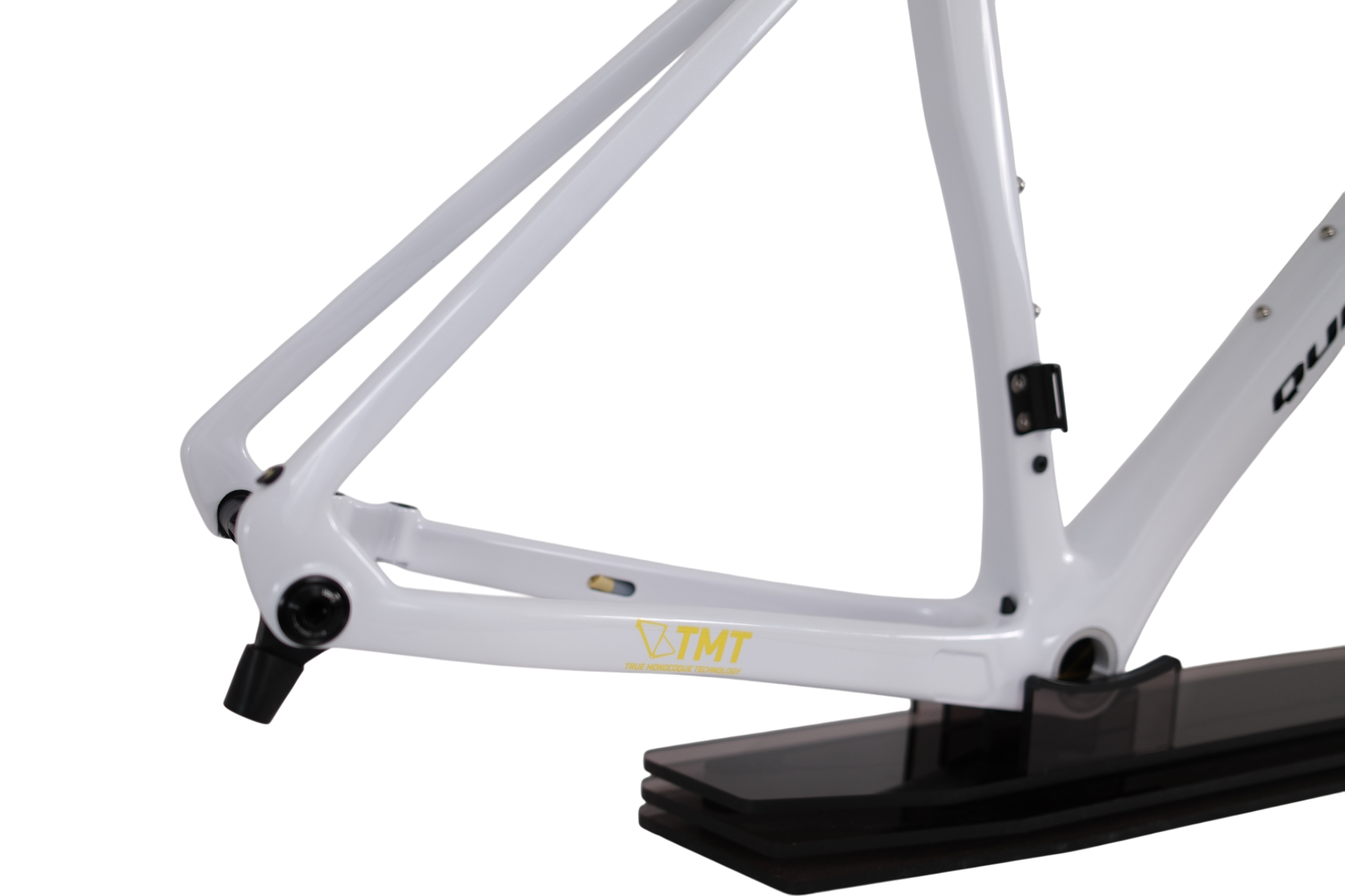 UCI World Champion Custom Color