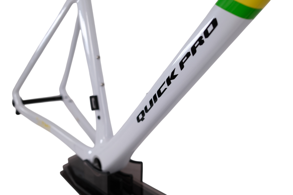 UCI World Champion Custom Color